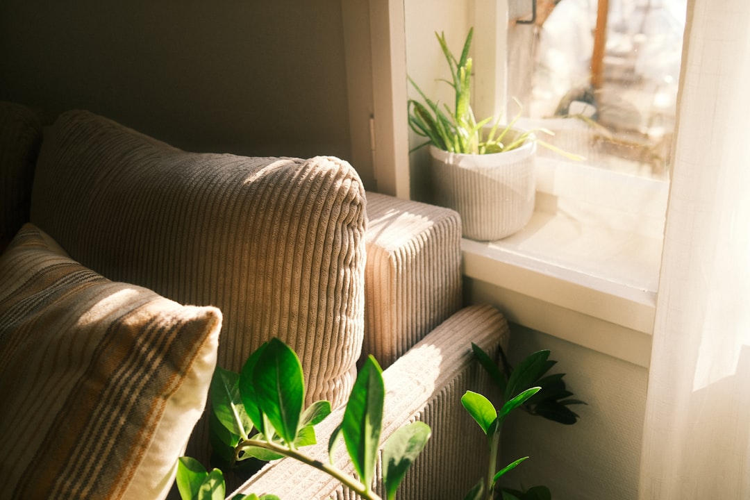a healthy home environment with clean air - indoor air services polk city